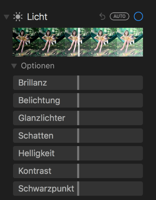 Die im Bereich „Anpassen“ unter „Licht“ angezeigten Regler sind: Brillanz, Belichtung, Glanzlichter, Schatten, Helligkeit, Kontrast und Schwarzpunkt