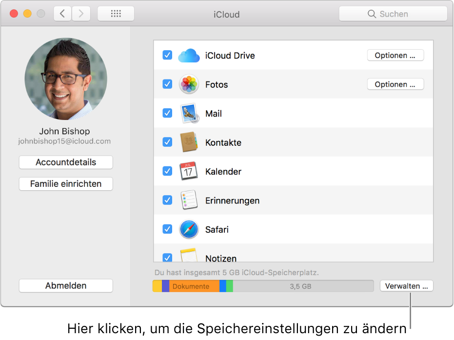 Bereich „iCloud“ der Systemeinstellungen