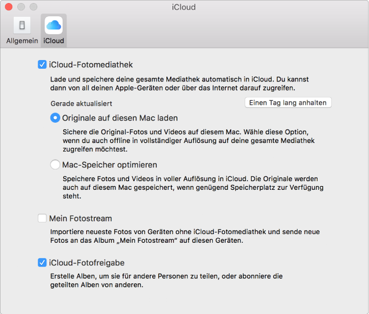 Bereich „iCloud“ der Fotos-Einstellungen.