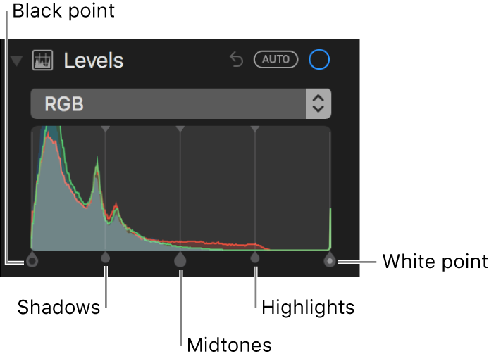 Level controls along the RGB histogram, including (from left to right) black point, shadows, midtones, highlights, and white point.