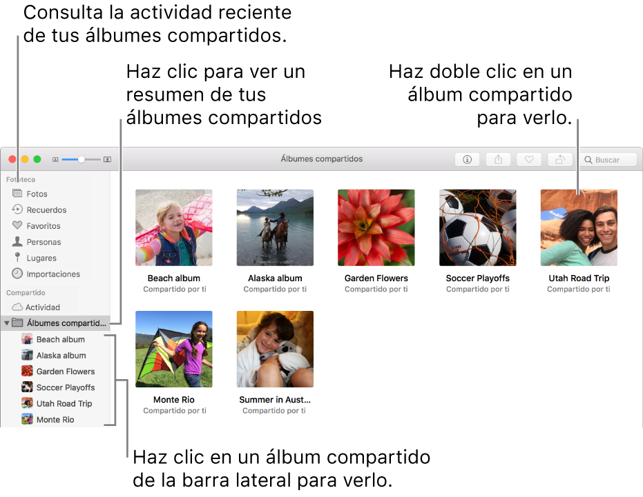 El panel Compartido de la ventana de Fotos mostrando álbumes compartidos.