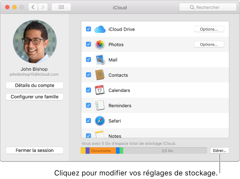 Sous-fenêtre iCloud des préférences Système.