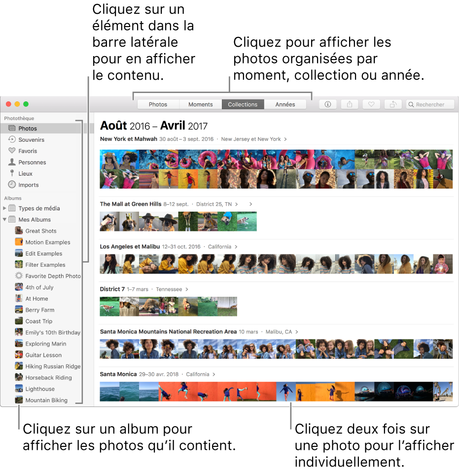 Fenêtre Photos présentant des photos organisées par collection.