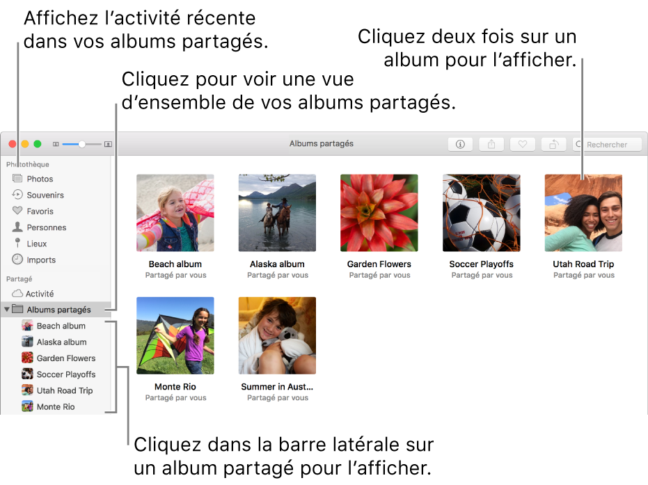 Sous-fenêtre Partagé de la fenêtre Photos, affichant les albums partagés.