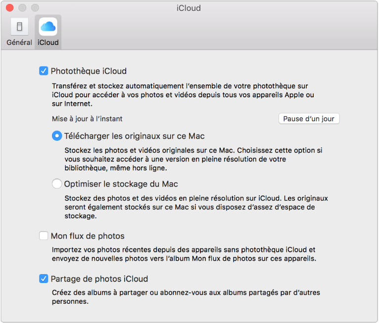 Sous-fenêtre iCloud des préférences Photos.