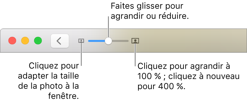 Barre d’outils affichant les commandes Réduire/agrandir.