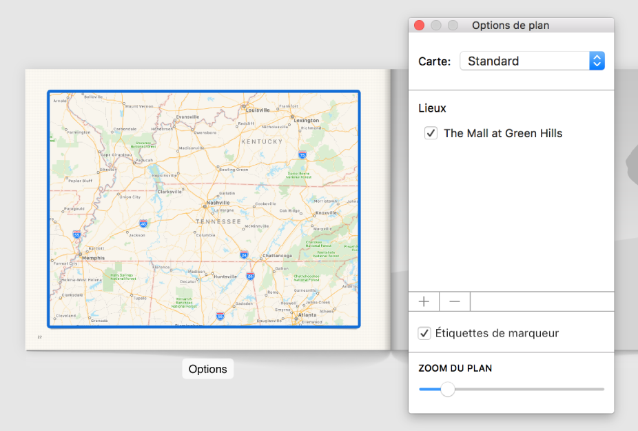 Plan dans un livre avec le bouton Options en dessous et la fenêtre des options de plan ouverte sur sa droite.
