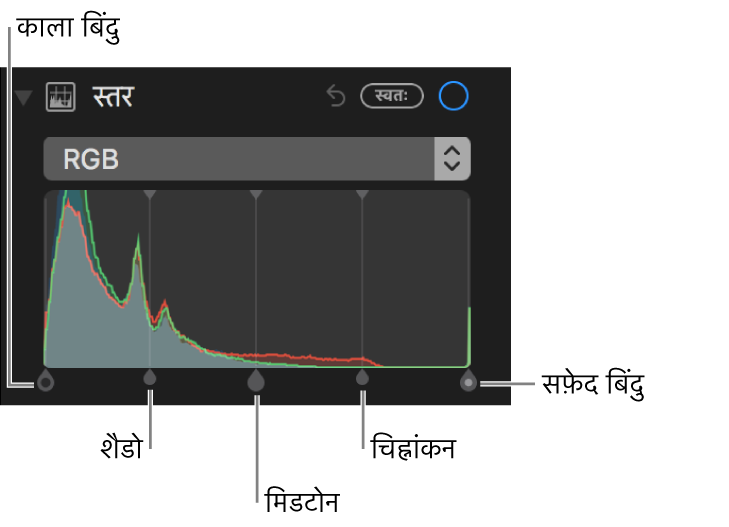 RGB हिस्टोग्राम के साथ स्तर कंट्रोल, (बाएँ से दाएँ) काला बिंदु, शेडो, मिडटोन, चिह्नांकन तथा सफ़ेद बिंदु समेत.