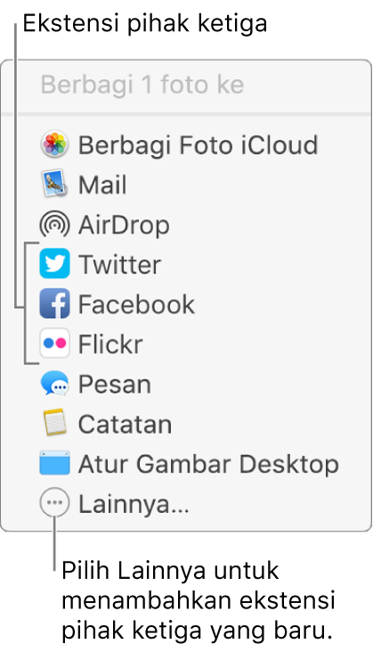 Menu Bagikan menampilkan ekstensi pihak ketiga seperti Flickr.