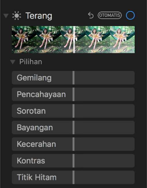 Area Cahaya pada panel Sesuaikan menampilkan penggeser untuk Gemilang, Pencahayaan, Sorotan, Bayangan, Kecerahan, Kontras, dan Titik Hitam.