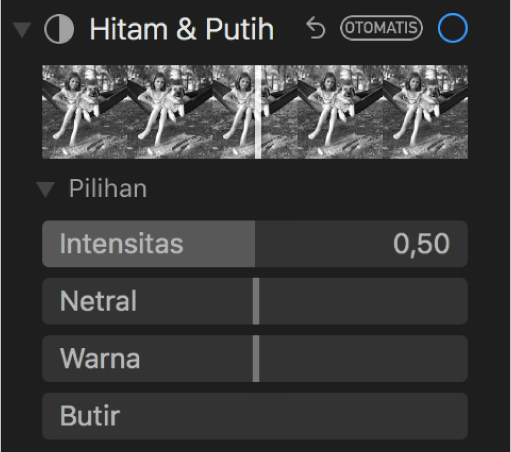 Area Hitam & Putih pada panel Sesuaikan menampilkan penggeser untuk Intensitas, Netral, Warna, dan Butir.