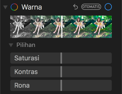 Area Warna pada panel Sesuaikan menampilkan penggeser untuk Saturasi, Kontras, dan Koreksi Warna.