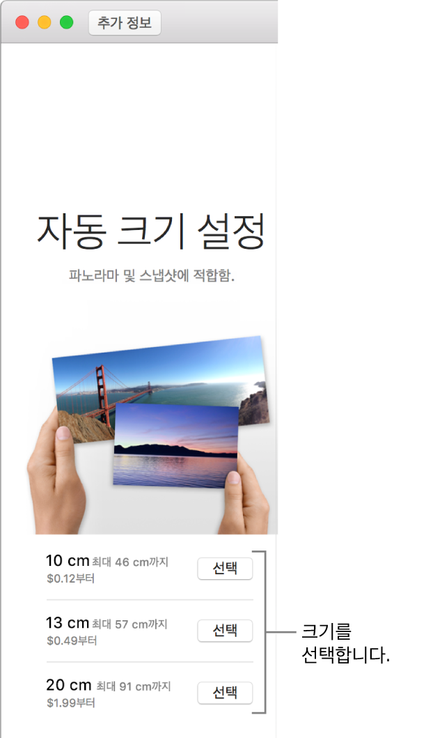 자동 크기 설정 프린트 포맷용 크기 옵션 윈도우.