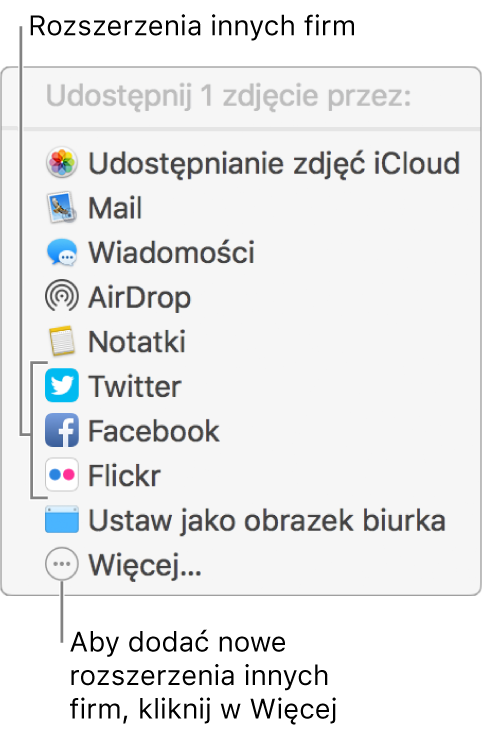 Menu udostępniania zawierające rozszerzenia innych firm, na przykład Flickr.