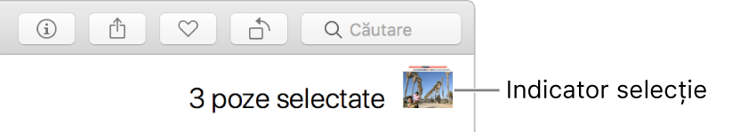 Indicatorul de selecție indicând trei poze selectate.