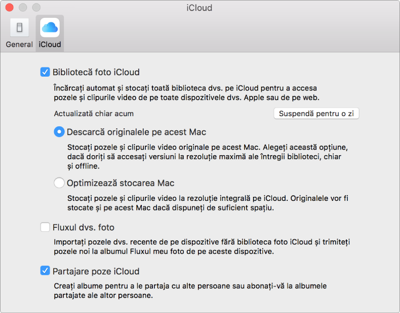 Panoul iCloud din preferințele Poze.