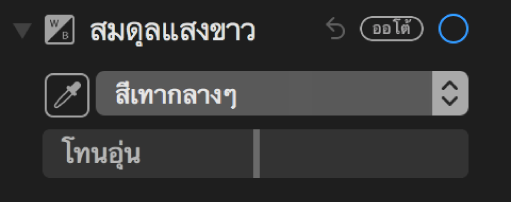 ตัวควบคุมสมดุลแสงขาวในบานหน้าต่างการปรับ