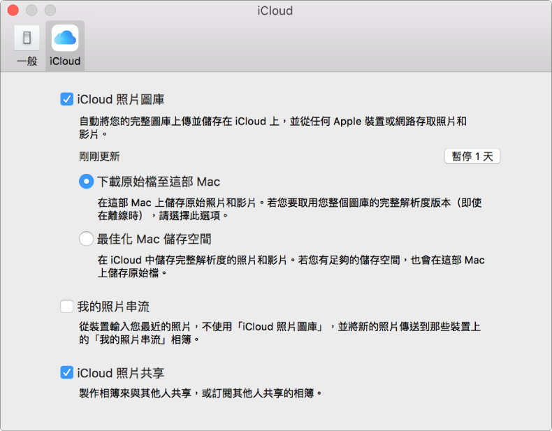 「照片」偏好設定的 iCloud 面板。