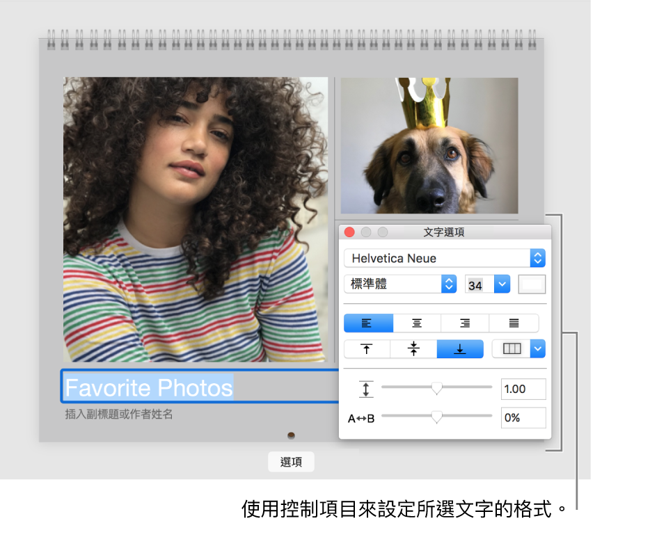 照片下方帶有選取的文字，右側為「文字選項」視窗。