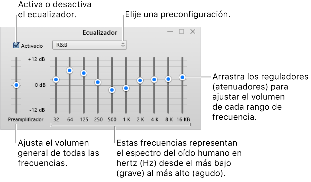 La ventana Ecualizador: la casilla para activar el ecualizador de iTunes está en la esquina superior izquierda. A un lado está el menú desplegable con las preconfiguraciones de ecualización. En el extremo derecho, ajusta el volumen general de las frecuencias con el preamplificador. Debajo de las preconfiguraciones, puedes ajustar el nivel del sonido de los distintos rangos de frecuencia que representan el espectro de la escucha humana desde lo más bajo hasta lo más alto.