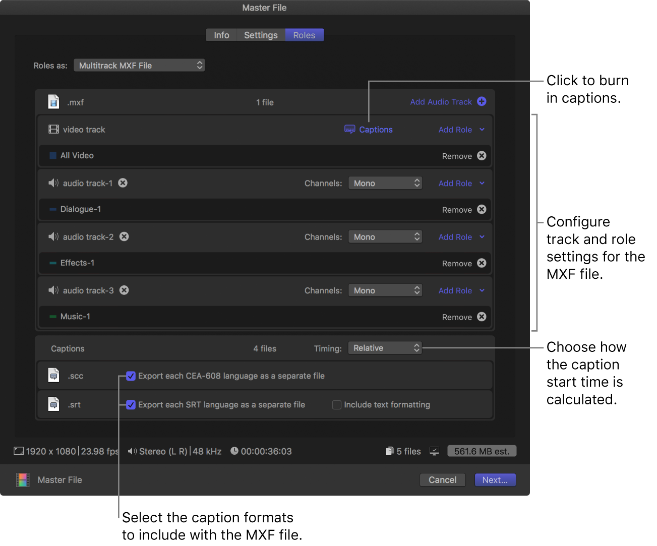 The Roles pane of the Share window for the Master File destination