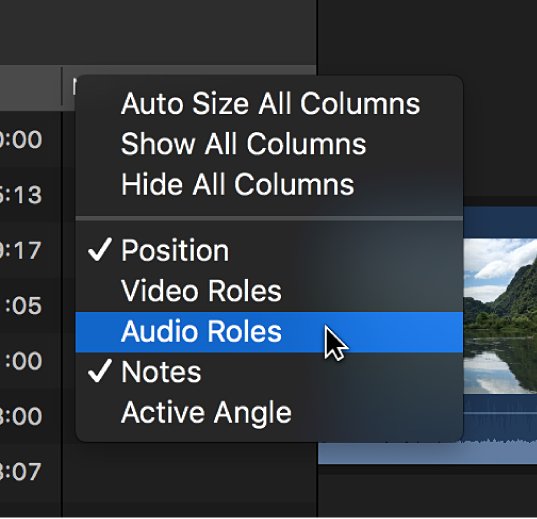 A menu for customizing the display of columns in the timeline index