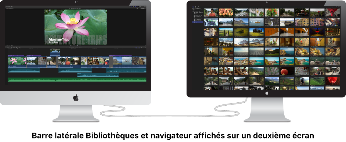 Barre latérale Bibliothèques et navigateur affichés sur un deuxième écran