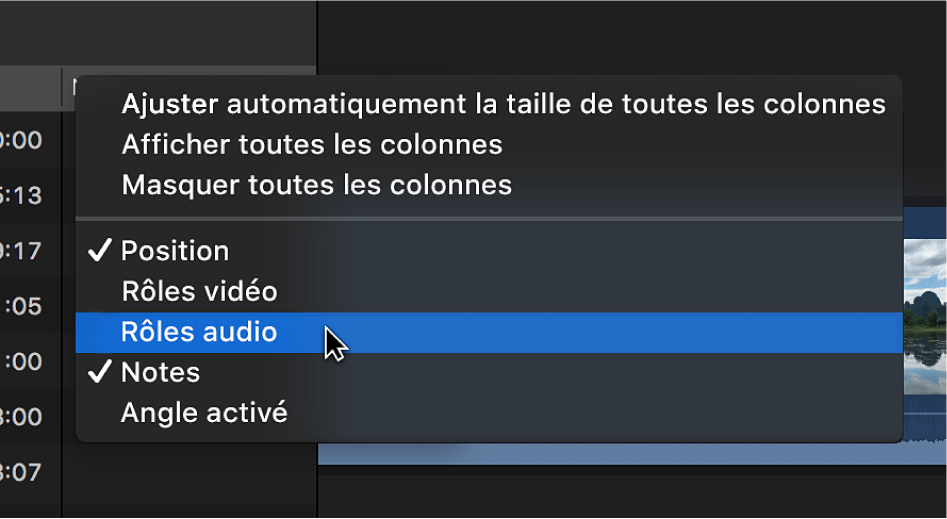 Menu contextuel permettant de personnaliser l’affichage des colonnes dans l’index de la timeline