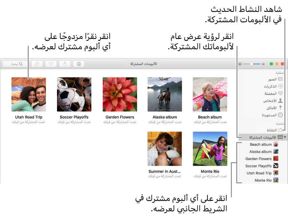 جزء الألبومات المشتركة من نافذة تطبيق الصور، ويعرض الألبومات المشتركة.