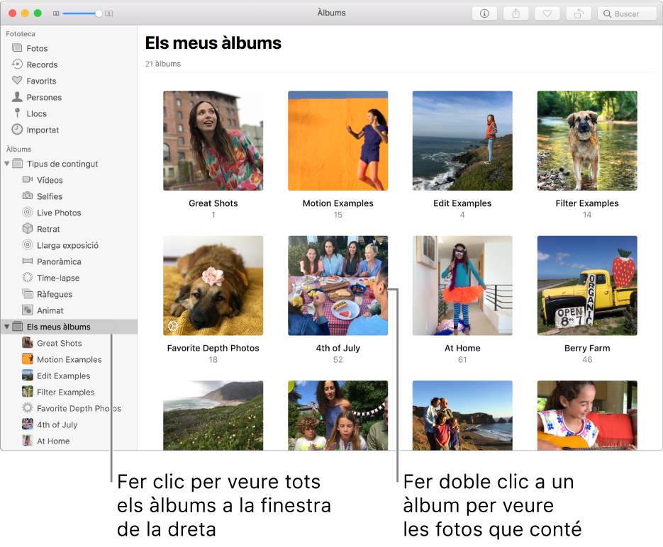 La finestra de l’app Fotos, que mostra “Els meus àlbums” seleccionat a la barra lateral i els àlbums que has creat, a la finestra a la dreta.