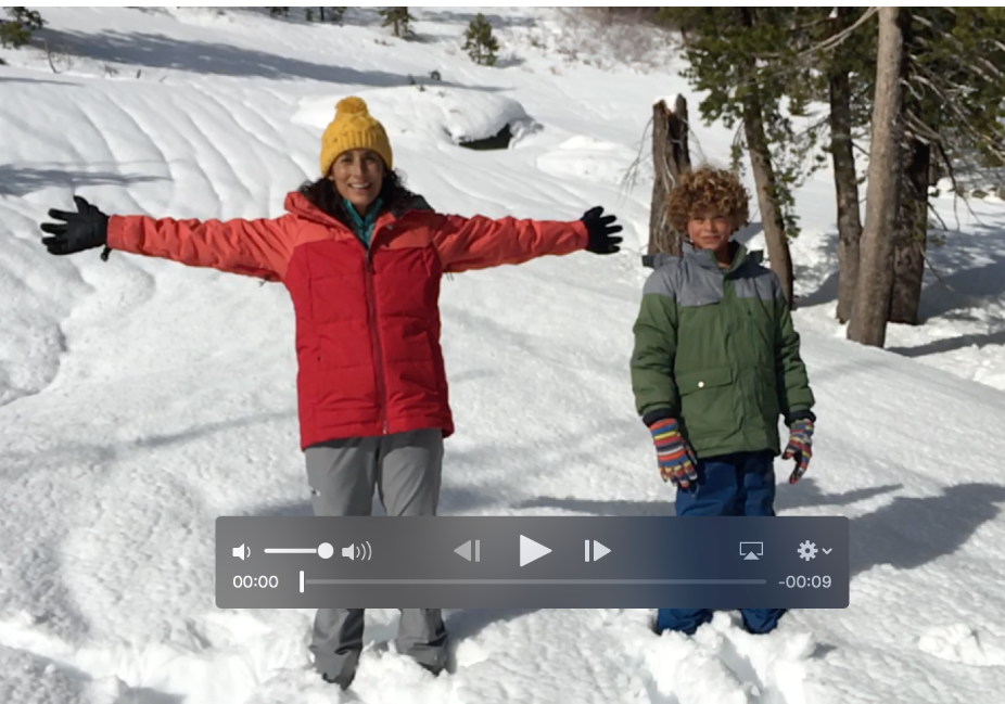 Videoclip mit den Steuerelementen für die Wiedergabe unten.