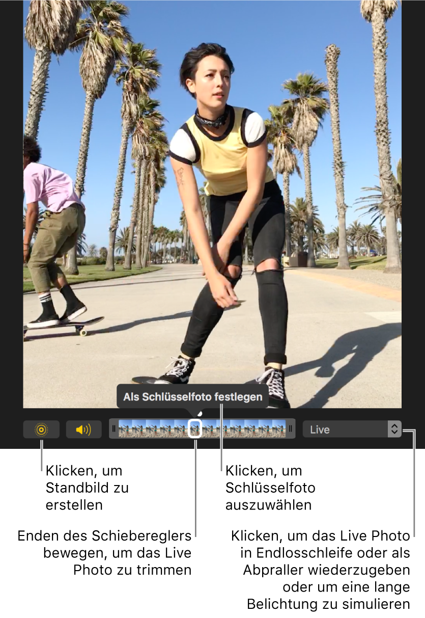 Ein Live Photo in der Bearbeitungsansicht mit einem Schieberegler darunter, der die Bilder des Fotos zeigt Die Tasten „Live Photo“ und „Lautsprecher“ links neben dem Regler und einem Einblendmenü rechts, aus dem Effekte für Endlosschleifen, Abpraller und Langzeitbelichtungen hinzugefügt werden können