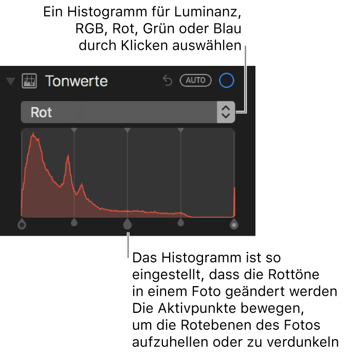 Die Tonwertsteuerungen und das Histogramm zum Ändern der Rottöne in einem Foto.