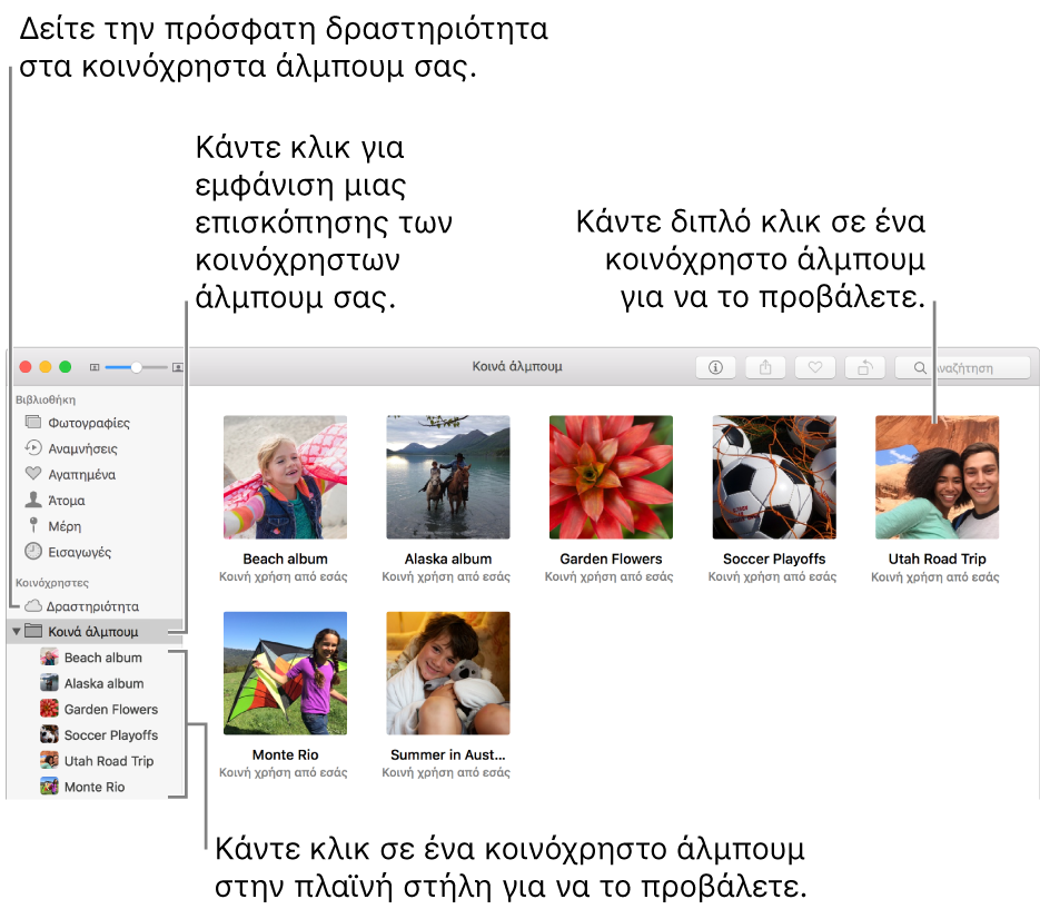 Το τμήμα «Κοινόχρηστα άλμπουμ» του παραθύρου Φωτογραφιών, όπου φαίνονται κοινόχρηστα άλμπουμ.