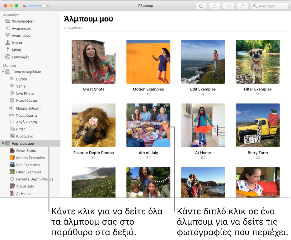 Το παράθυρο των Φωτογραφιών με επιλεγμένα «Τα άλμπουμ μου» στην πλαϊνή στήλη. Τα άλμπουμ που έχετε δημιουργήσει εμφανίζονται στο παράθυρο στα δεξιά.