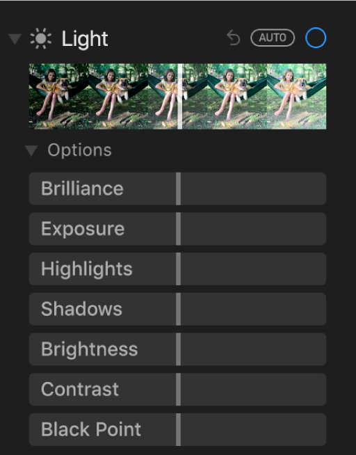 The Light area of the Adjust pane showing sliders for Brilliance, Exposure, Highlights, Shadows, Brightness, Contrast and Black Point.