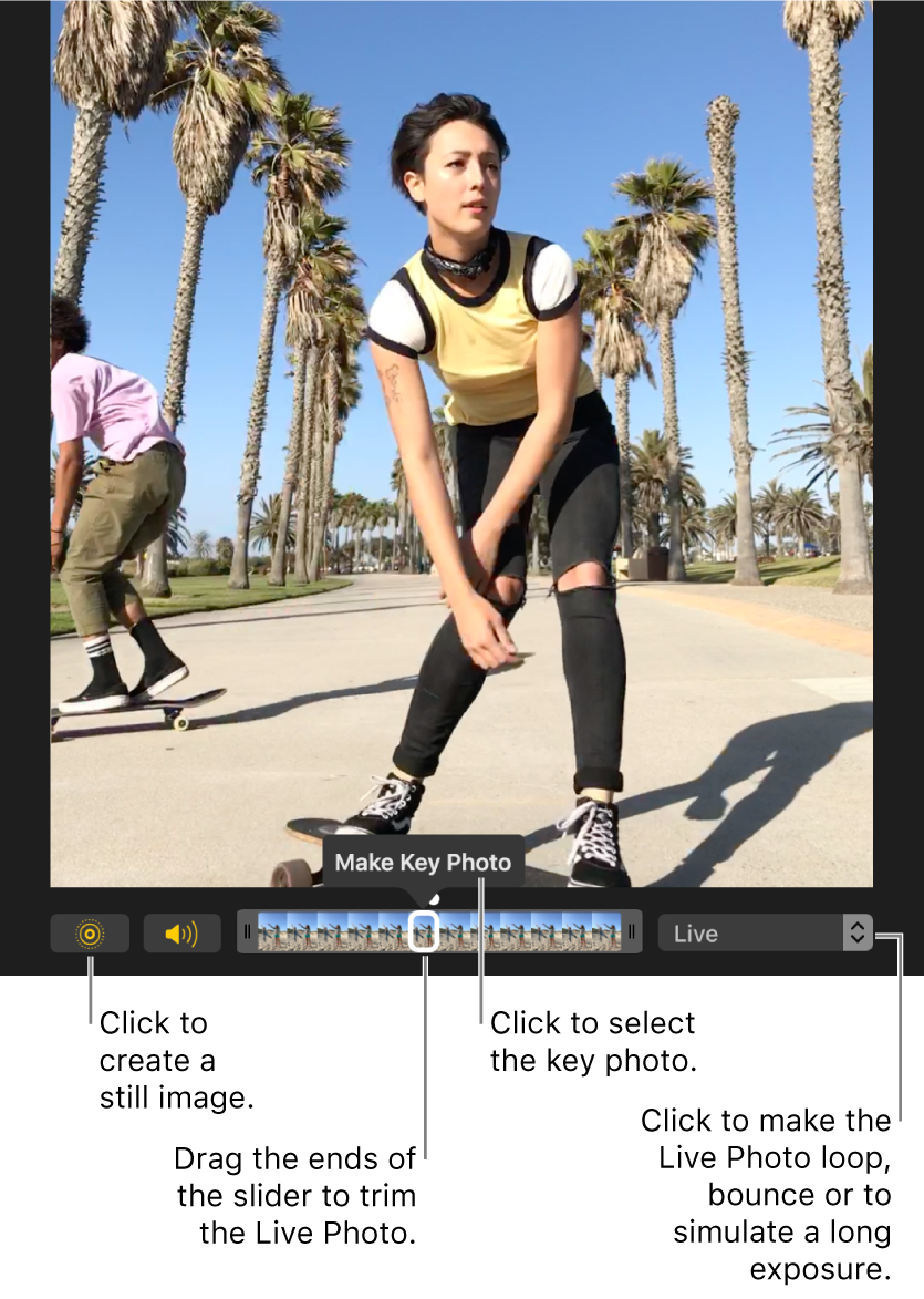 A Live Photo in editing view with a slider beneath it showing the frames of the photo. The Live Photo button and Speaker button are to the left of the slider, and to the right is a pop-up menu you can use to add a loop, bounce, or long exposure effect.