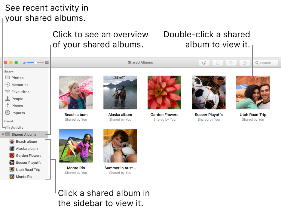 The Shared Albums pane of the Photos window, showing shared albums.