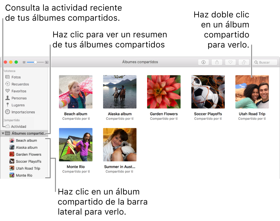 El panel de Álbumes compartidos de la ventana de Fotos mostrando álbumes compartidos.
