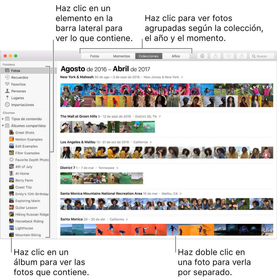 La ventana de Fotos que muestra fotos organizadas por colección.