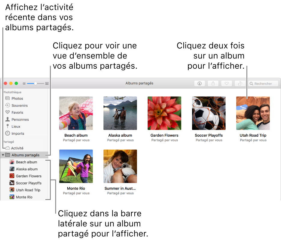 La sous-fenêtre Albums partagés de la fenêtre Photos, affichant les albums partagés.