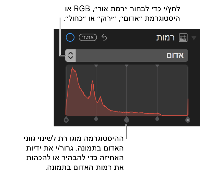 כלי בקרה והיסטוגרמה לשינוי האדומים בתמונה.