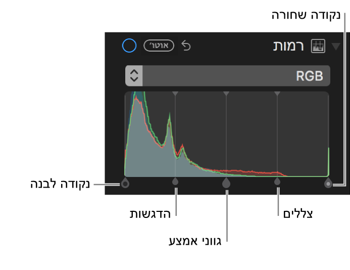 כלי בקרה ״רמות״ לאורך היסטוגרמת ה-RGB, כולל (משמאל לימין) נקודה שחורה, צללים, גווני אמצע, הדגשות ונקודה לבנה.