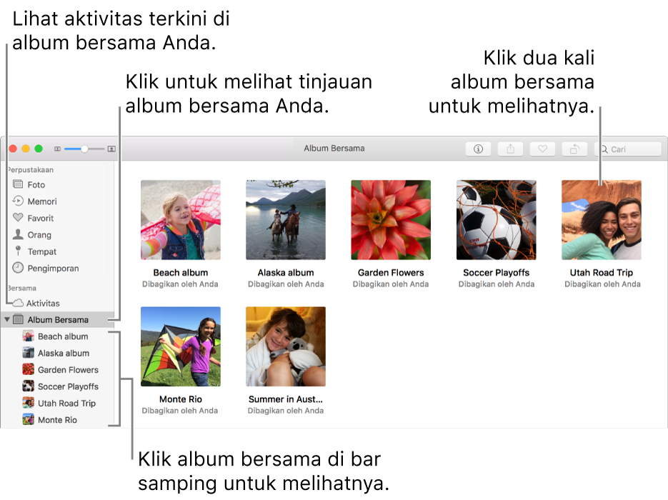 Panel Album Bersama pada jendela Foto, menampilkan album bersama.