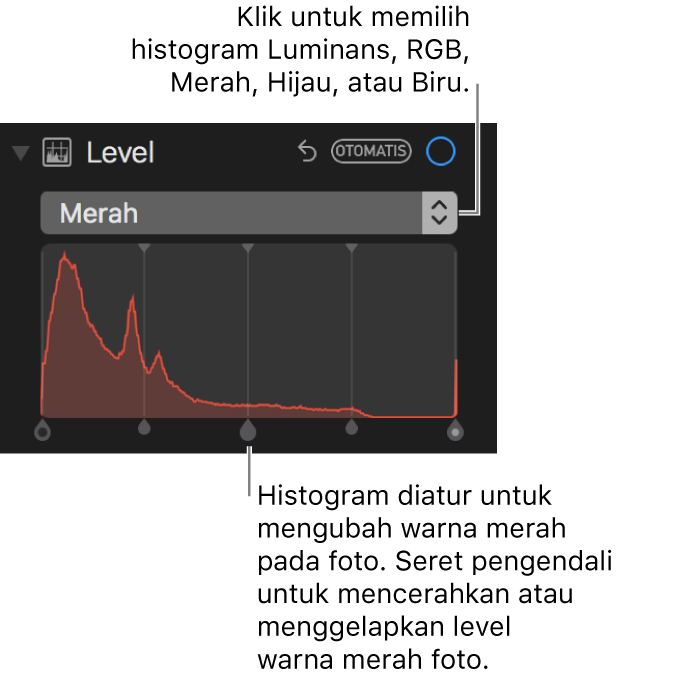 Kontrol tingkat dan histogram untuk mengubah warna merah dalam foto.