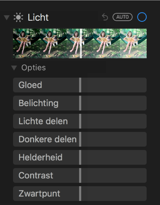 Het gedeelte 'Licht' van het paneel 'Pas aan' met schuifknoppen voor 'Gloed', 'Belichting', 'Lichte delen', 'Donkere delen', 'Contrast' en 'Zwartpunt'.