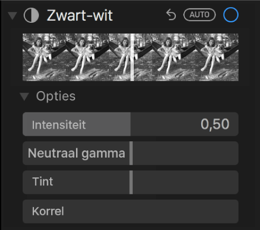 Het gedeelte 'Zwart-wit' van het paneel 'Pas aan' met schuifknoppen voor 'Intensiteit', 'Neutraal', 'Tint' en 'Korrel'.