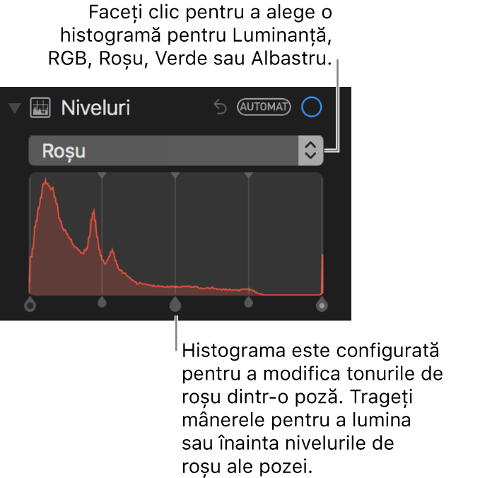 Comenzile Niveluri și histograma pentru modificarea tonurilor de roșu dintr-o poză.