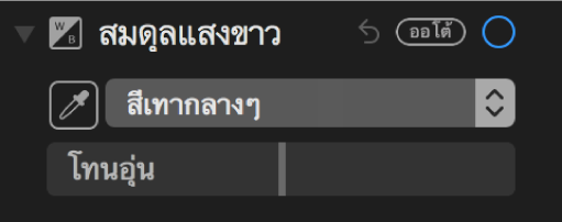 ตัวควบคุมสมดุลแสงขาวในบานหน้าต่างการปรับ