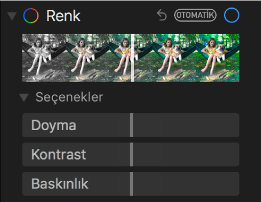 Ayarla bölümünün Doyma, Kontrast ve Baskınlık sürgülerinin gösterildiği Renk alanı.